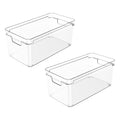 Kit 2 Organizadores Clear Natural 30x15x13 cm