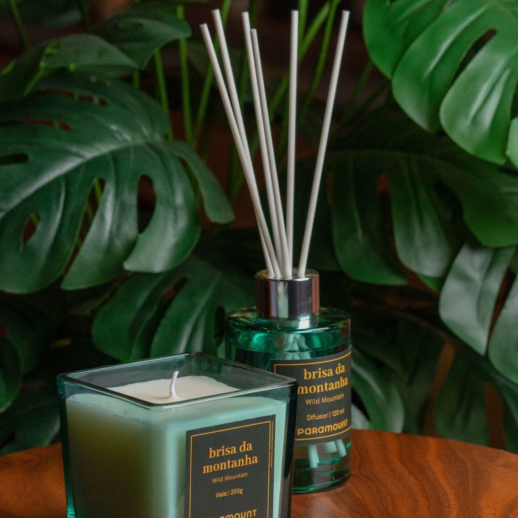 Difusor de Ambiente 120ml Aromático Decorativo