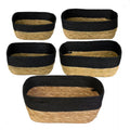 Kit 5 Cestos Seagrass Decorativo Boho