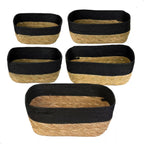 Kit 5 Cestos Seagrass Decorativo Boho