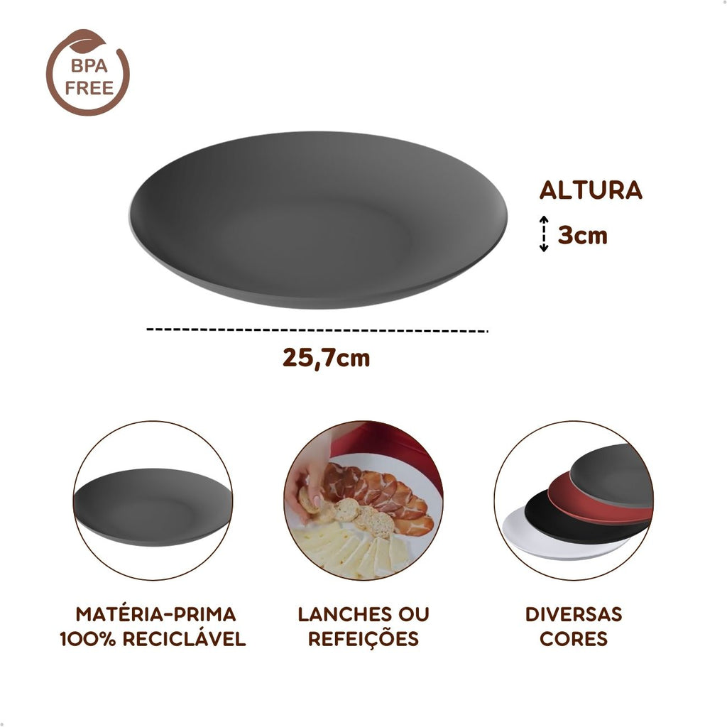Kit 4 Pratos de Refeição Grandes e Coloridos