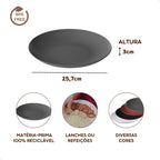 Kit 4 Pratos de Refeição Grandes e Coloridos