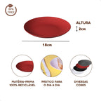 Kit 4 Pratos de Refeição Grandes Coloridos